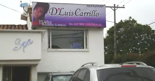 D LUIS CARRILLO D LUIS CARRILLO